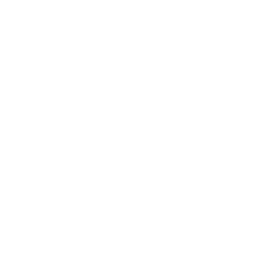 About Southside Soccer League